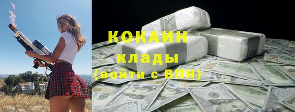соль ск Алексин