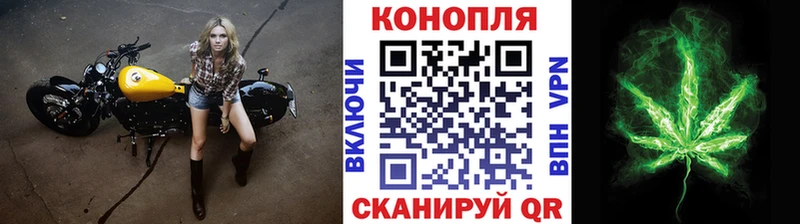 Бошки марихуана конопля Камешково